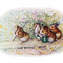 Four guinea pigs walk down a garden path carrying gardening tools