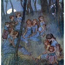 Nightly meadow fairies