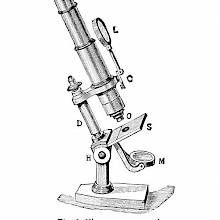 Compound microscope