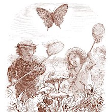 A boy and a girl with butterfly nets are running side by side among the grass after a swallowtail