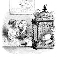 A birds lies dead inside a cage while monkeys are kissing in the background.