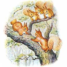 Two squirrels are facing each other belligerently on a large branch as three others sit watching