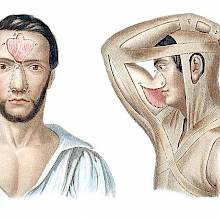 Operations on the nose and nasal fosse