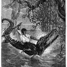 A man is riding on the back of a caiman in the water, poised to strike the animal with a club