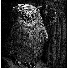 The grasshopper comes to the sleeping owl singing and playing the guitar