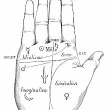 Palmistry, Division of the Hand