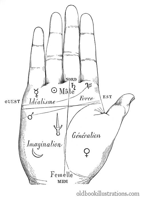 Palmistry, Division of the Hand