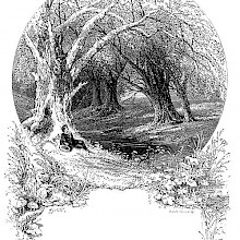 A young man sits reclining against a large dead tree on the bank of a brook