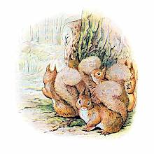 A group of squirrels has stopped by a tree while a sleepy owl has its back to the trunk