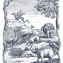 Creatures including an elephant, an owl, a dragon, etc. can be seen on an uneven stretch of land