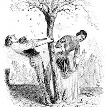 A man shakes an apple tree laden with fruit, which a woman gathers in her apron