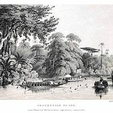 View of the river Niger and the tropical forest showing numerous rowing boats on the water