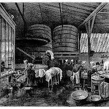 Interior view of a public wash house showing women doing laundryand large wooden vats