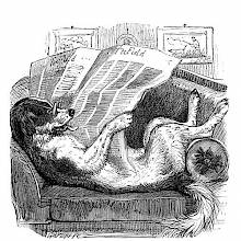 A dog is comfortably lying on a couch, reading a newspaper with his glasses on