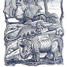 A rhinoceros, a snake, and two imaginary creatures can be seen in a landscape with palm trees