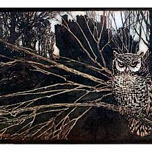 An owl sits on a branch as a crenellated castle can be seen in the background