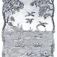 Seascape showing fishes at the surface of the water, birds in the sky, and boats on the horizon