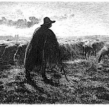 A shepherd stands with his flock in a level landscape in the late afternoon