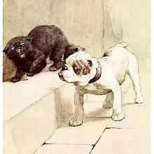 A bulldog gives a disdainful side look at a defensive cat