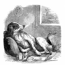 A dog is reclining on a cushion, leisurely smoking a long, chibouk-like pipe