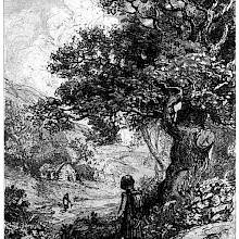 A man pauses under a tree overlooking a valley where a woman stands by the river