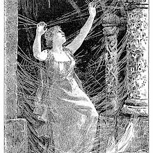It was covered with a thick spider's web.