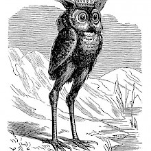Depiction of Stolas, the Great Prince of the Underworld who appears under the guise of an owl