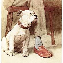 A bulldog sits close to his owner, whose legs are all that's visible