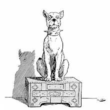 A dog wearing a spiked collar is sitting on a chest, looking at the viewer