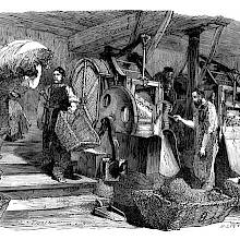Workshop at the Imperial Tobacco Factory in Paris, where workers operate mechanical tobacco choppers.