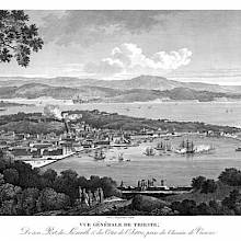 Panoramic view of the port of Trieste and the coast of Istria as seen from a high viewpoint