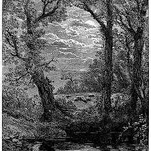 View of a pond or river at night with trees lining the bank