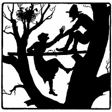 An old man is silhouetted in the higher parts of a tree helping an old woman up