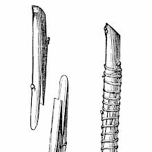 Whip and tongue graft (1)