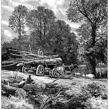 A wood wain is in a clearing with its load of tree-trunks and seems to be getting ready to go