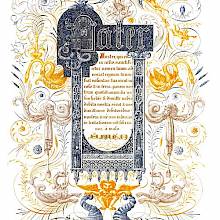 Composition inspired by medieval book ornamentation, including lettering, animals, scrolls, etc.