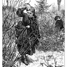 A girl walks past a budding shrub, holding a bunch of flowers above her head