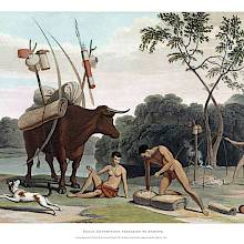 Aquatint showing Khoekhoe people dismantling their hut and loading up an ox with their belongings