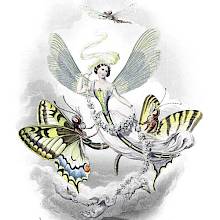 Engraving depicting an anthropomorphic dragonfly surrounded by large, colorful butterflies