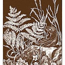 Two lizards are exploring a rocky patch of land overgrown with ferns, ivy, and grass