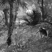 A man  is crouched pensively at night amid a tropical landscape of tall grass, palm trees, and fronds