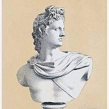 Bust copied from Apollo Belvedere