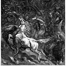 Animals have gathered in a valley surrounded by mountains, where a lion is pouncing on a horse