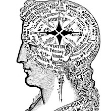 Plate showing a woman’s head seen from the side and divided according astrological factors