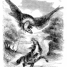 A horse rears up to defend itself against an enormous bird circling above its head
