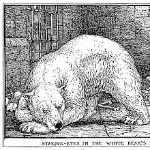 A young man is locked up in a vault with a white bear