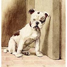 A young bulldog sits on a tiled floor by a wall, looking sideways