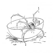 A large spider with a human head crawls out of a half-filled bowl