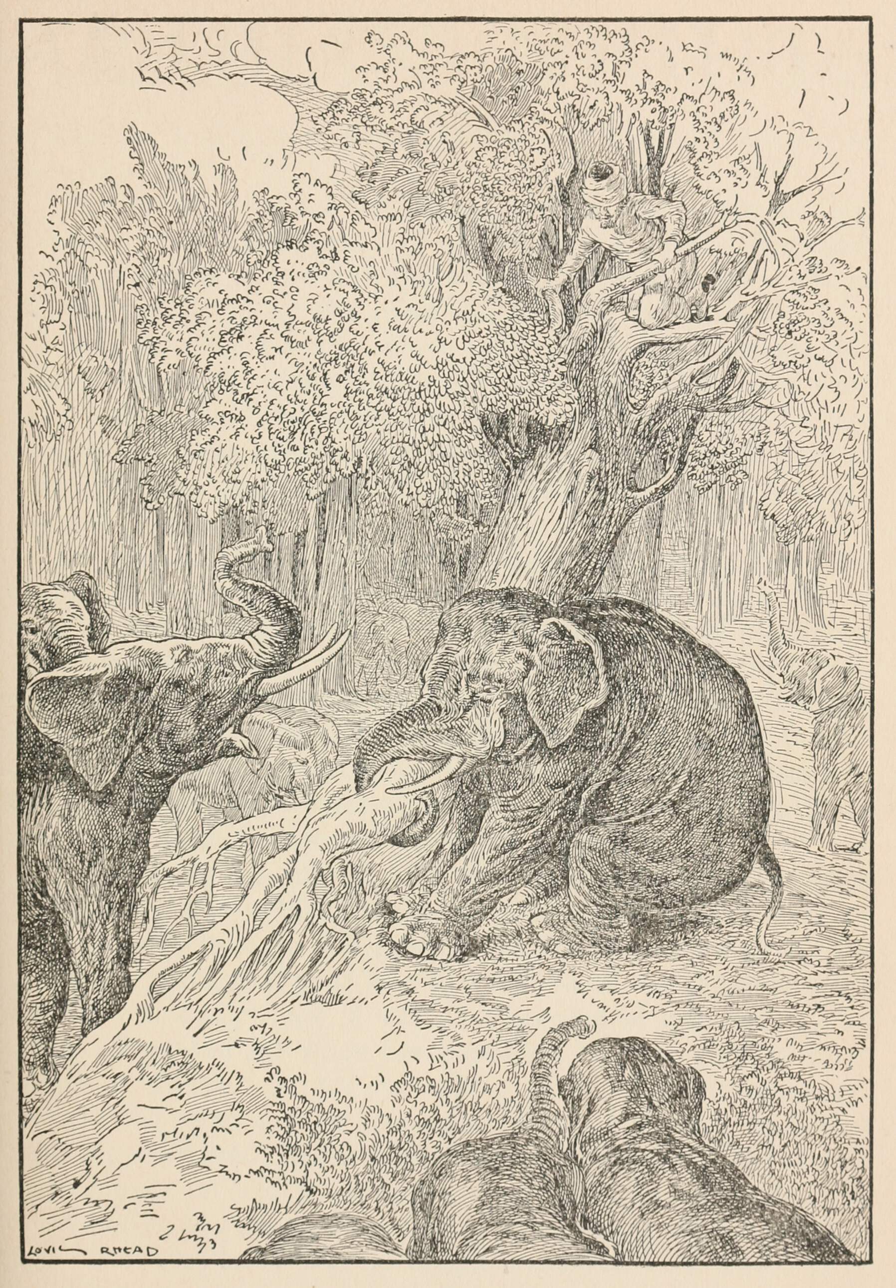 The Elephant Tore Up the Tree | Old Book Illustrations