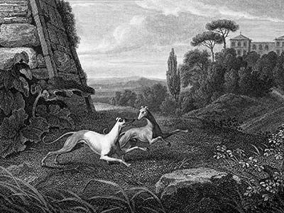 Two Italian greyhounds are frolicking in the park of a villa, which can be seen in the background